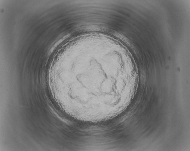 X0000079310390200612151757