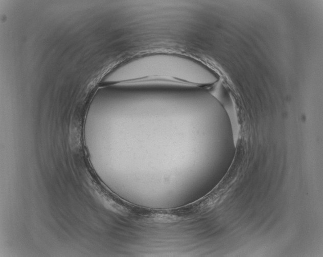 X0000079310393200612151757