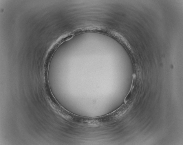 X0000079310395200612151757