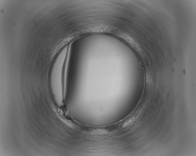 X0000079310397200612151757