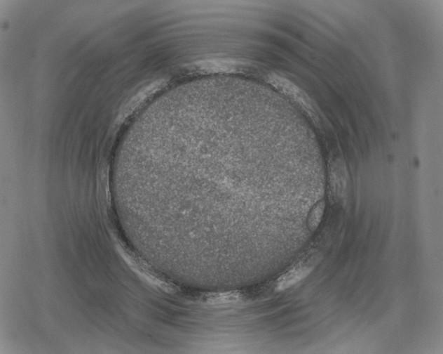 X0000079310398200612151757