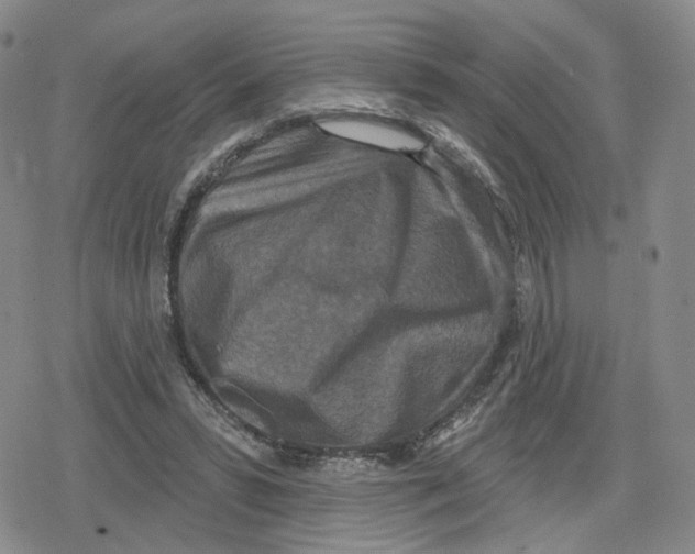 X0000079310399200612151757