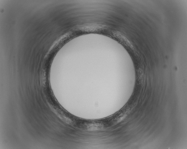 X0000079310400200612151757