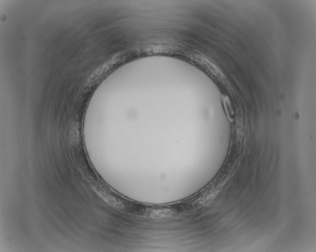 X0000079310401200612151757