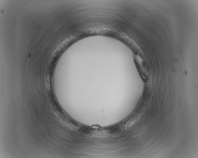 X0000079310403200612151757