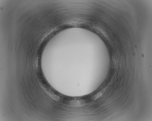 X0000079310404200612151757