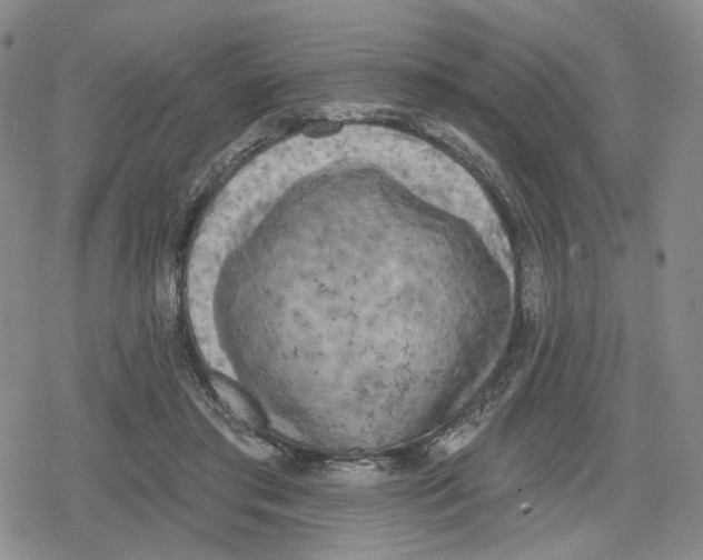 X0000079310405200612151757