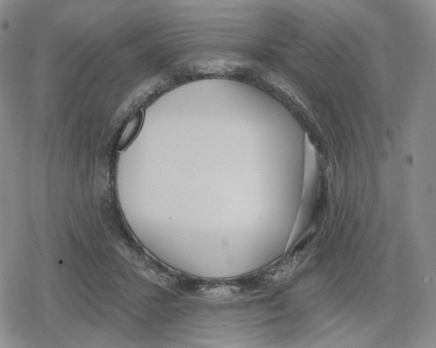 X0000079310407200612151757