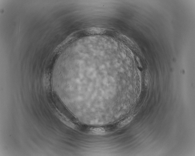 X0000079310409200612151757