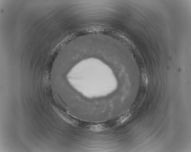 X0000079310411200612151757