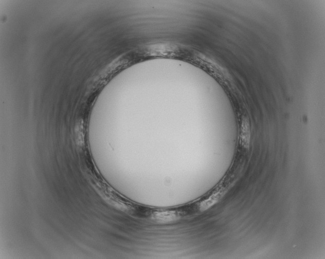 X0000079310413200612151757