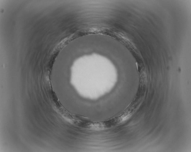 X0000079310415200612151757