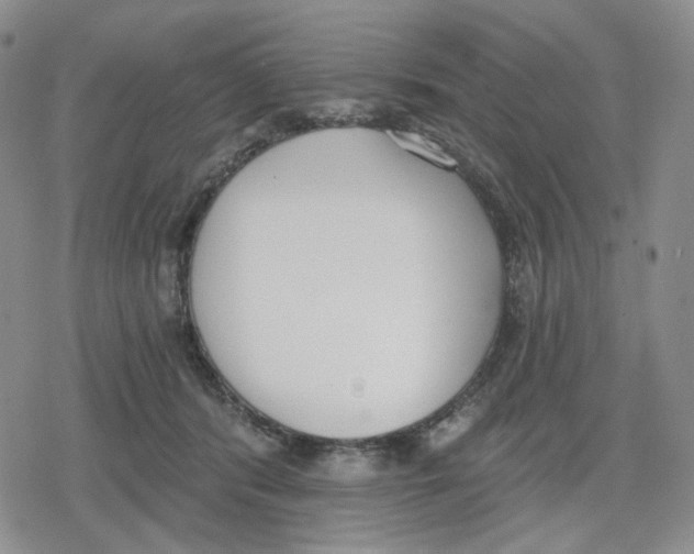 X0000079310416200612151757