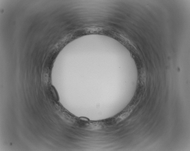 X0000079310417200612151757