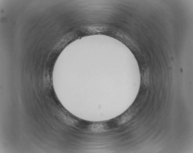 X0000079310418200612151757