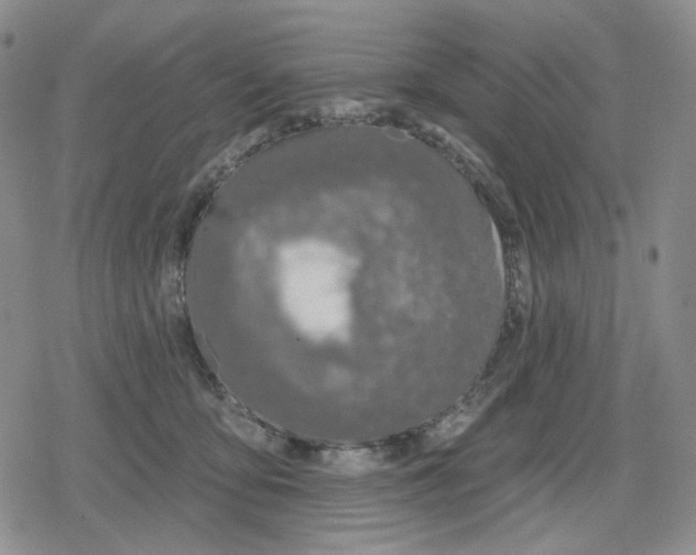 X0000079310419200612151757