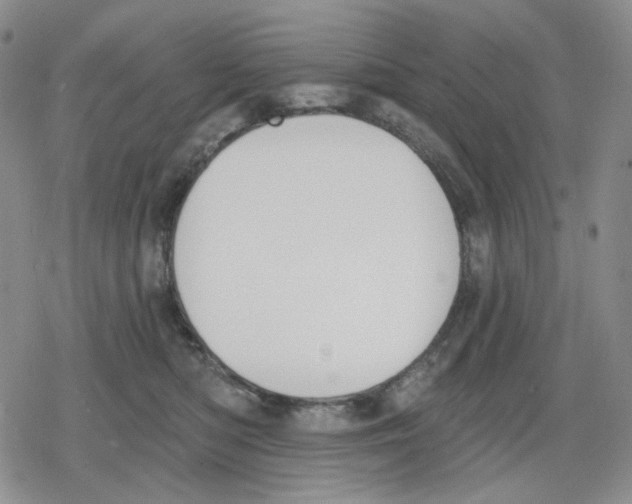 X0000079310422200612151757