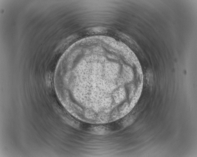 X0000079310423200612151757