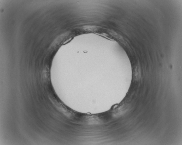 X0000079310424200612151757