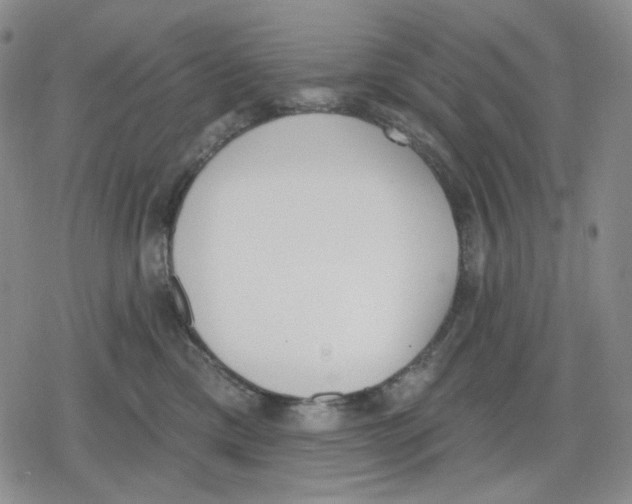 X0000079310425200612151757