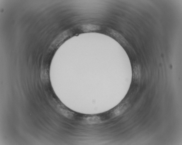 X0000079310426200612151757