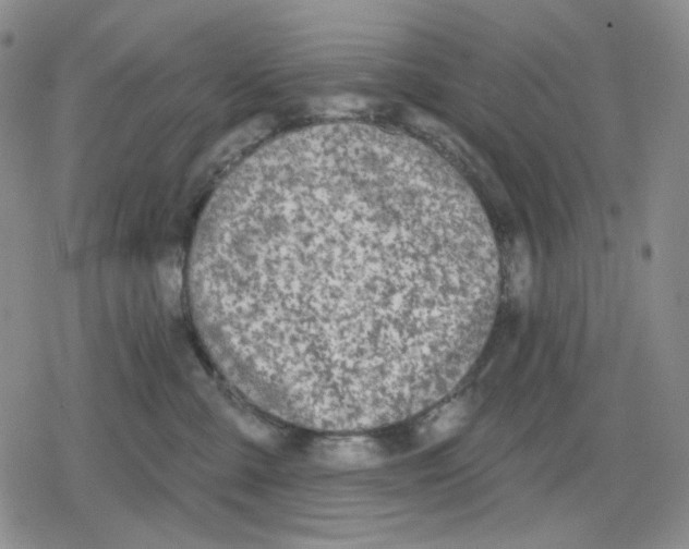 X0000079310427200612151757