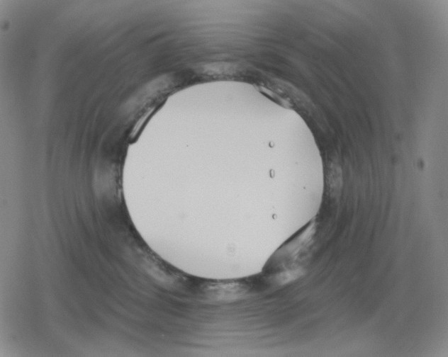 X0000079310428200612151757