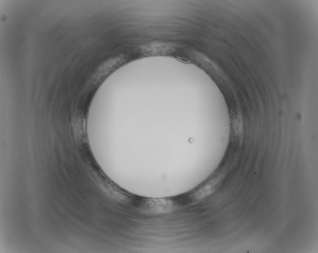 X0000079310429200612151757