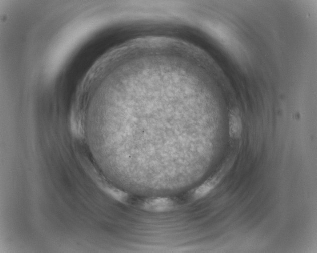 X0000079310431200612151757