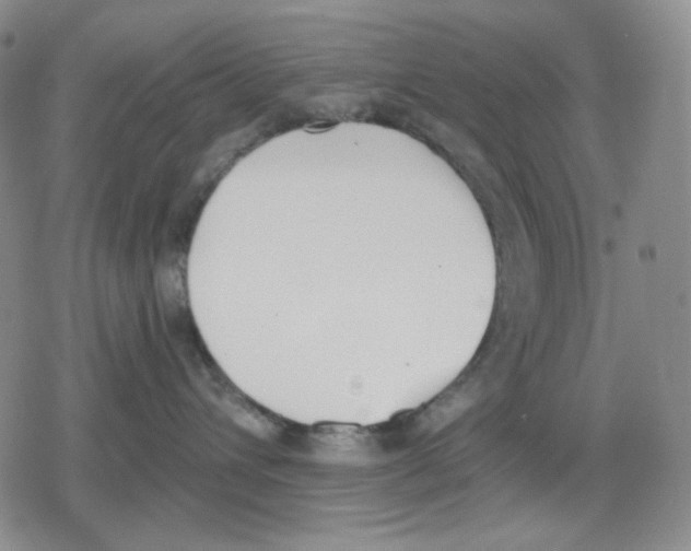 X0000079310432200612151757