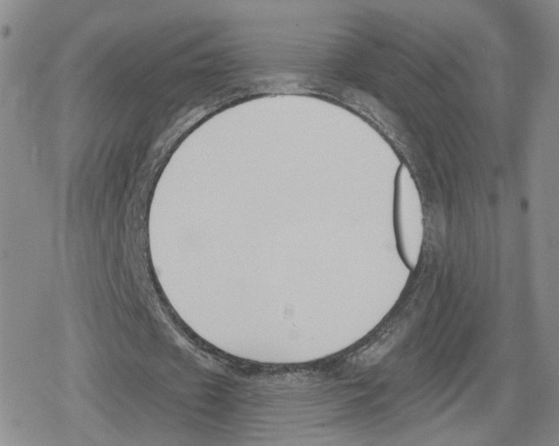 X0000079310433200612151756