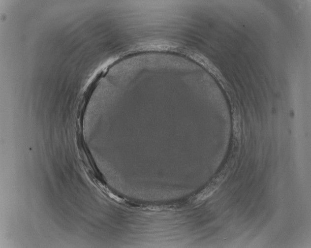 X0000079310434200612151756