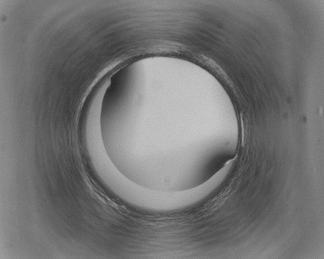 X0000079310435200612151756