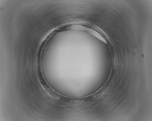 X0000079310436200612151756