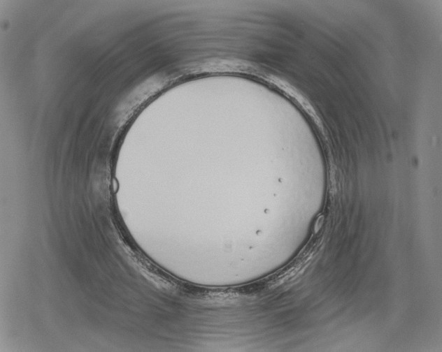 X0000079310437200612151756