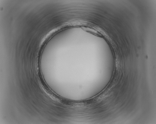 X0000079310438200612151756