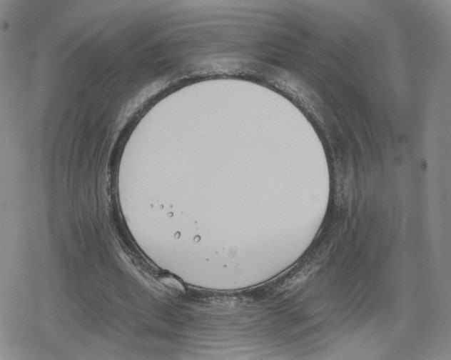 X0000079310439200612151756