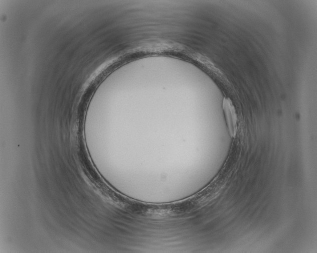 X0000079310440200612151756