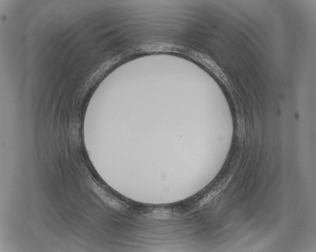 X0000079310441200612151756