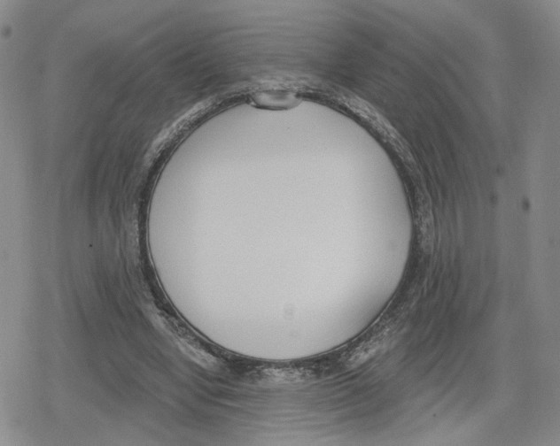 X0000079310442200612151756