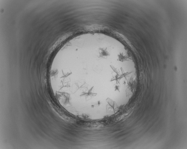 X0000079310443200612151756