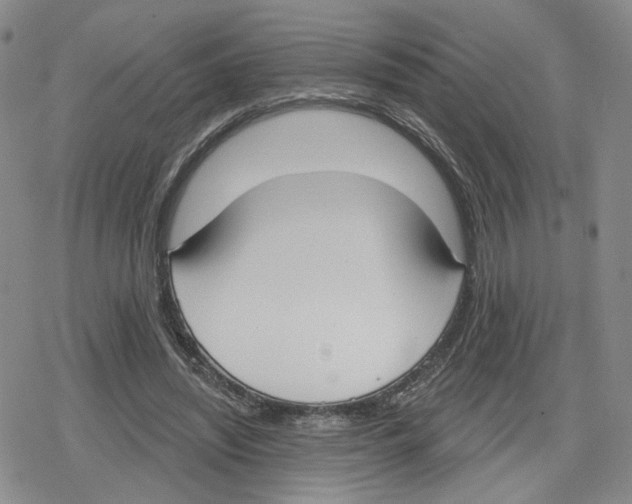 X0000079310444200612151756