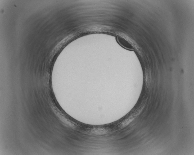 X0000079310445200612151756