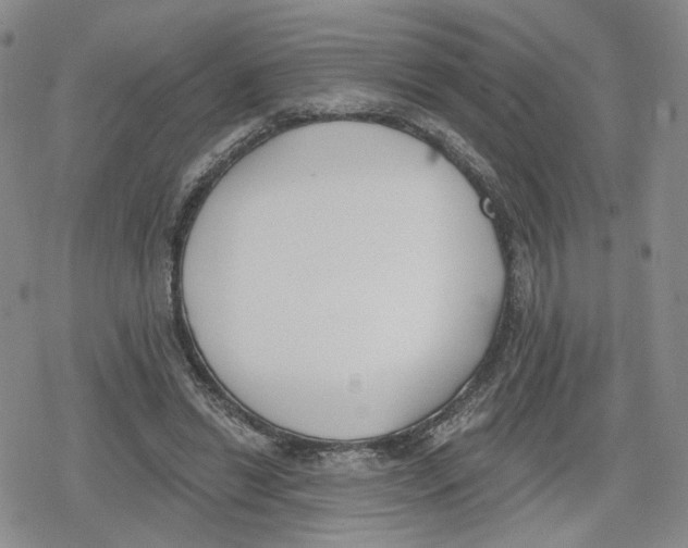 X0000079310446200612151756