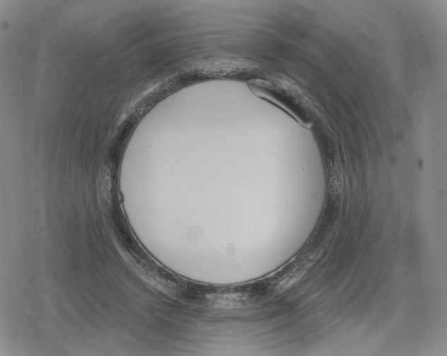 X0000079310448200612151756