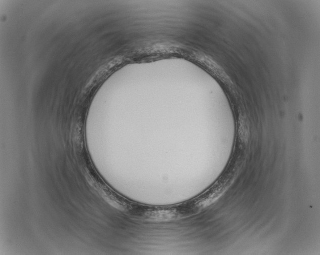 X0000079310449200612151756