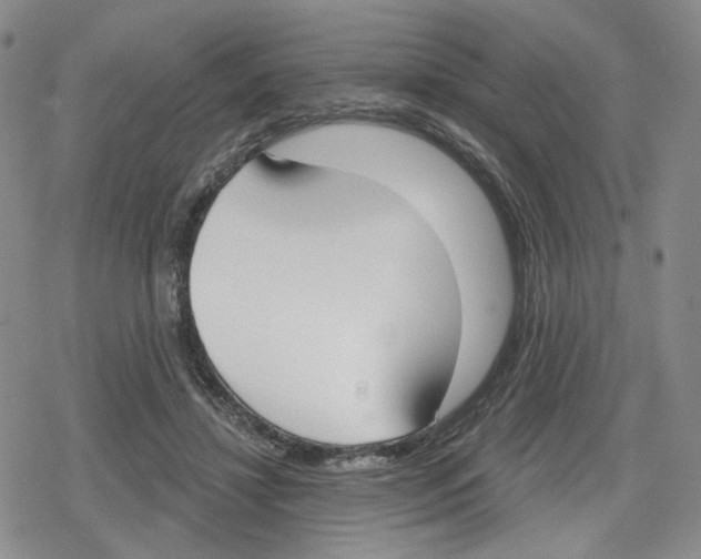 X0000079310452200612151756