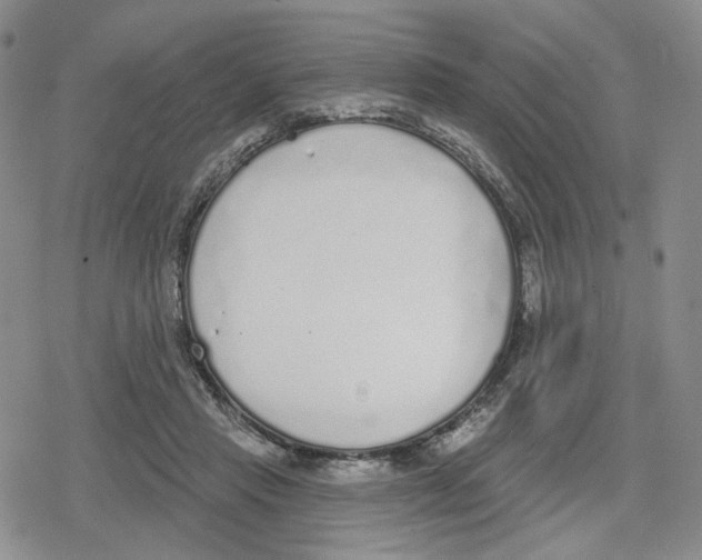 X0000079310453200612151756