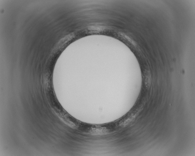 X0000079310455200612151756