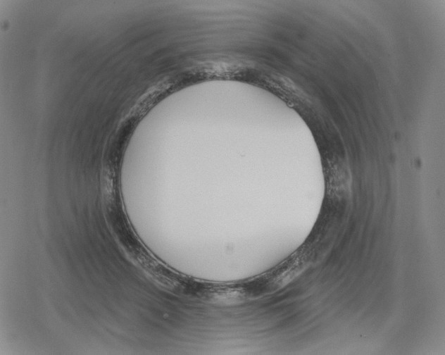 X0000079310456200612151756